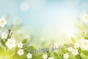 小清新白色花卉背景图